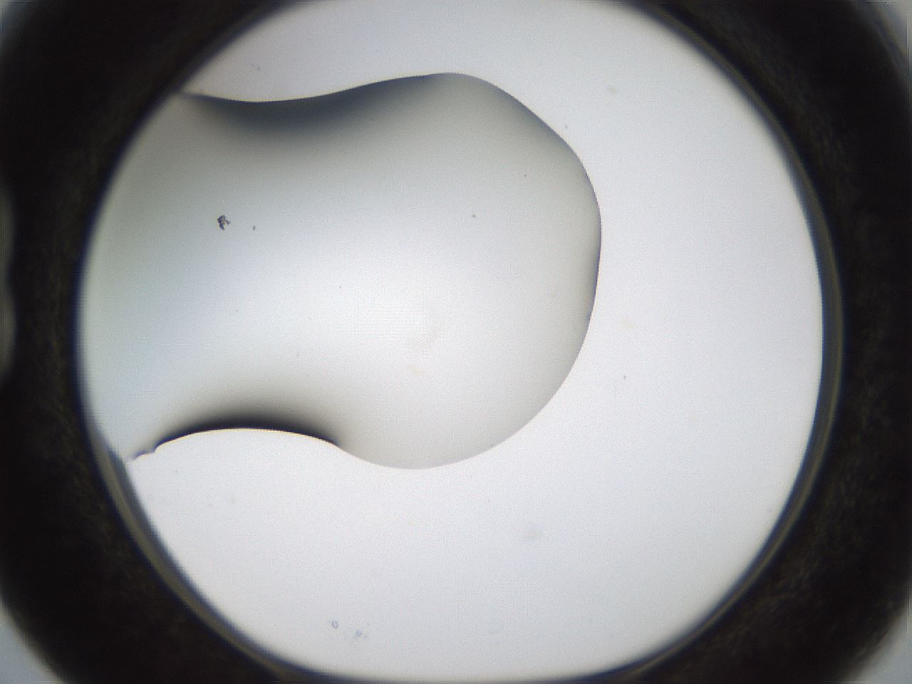 folderID187_plateID1187_batchID3361_wellNum15_profileID1_d1_r65325_ef.jpg
