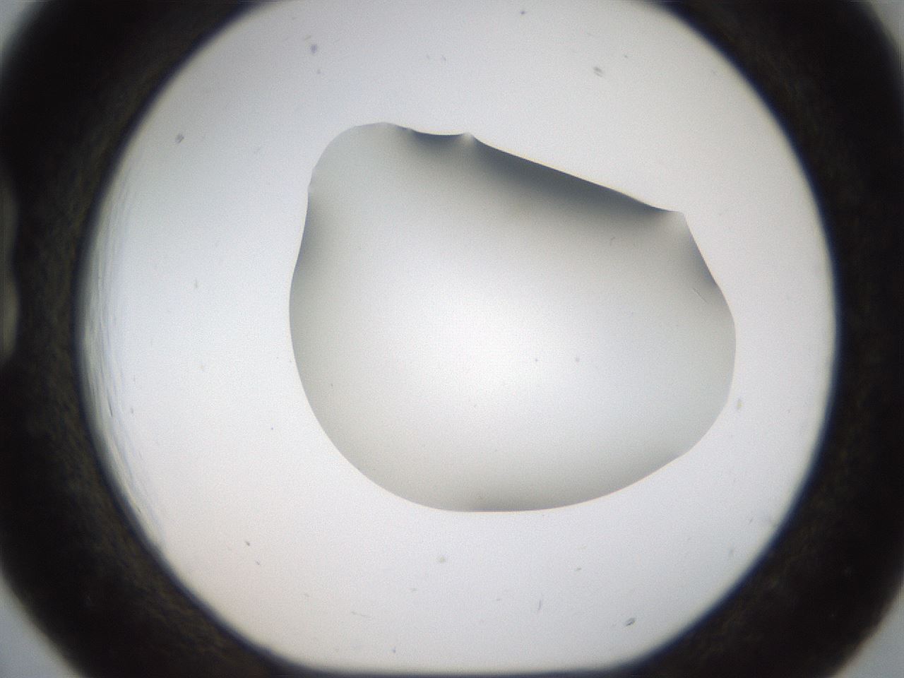 folderID187_plateID1187_batchID3361_wellNum18_profileID1_d1_r65328_ef.jpg