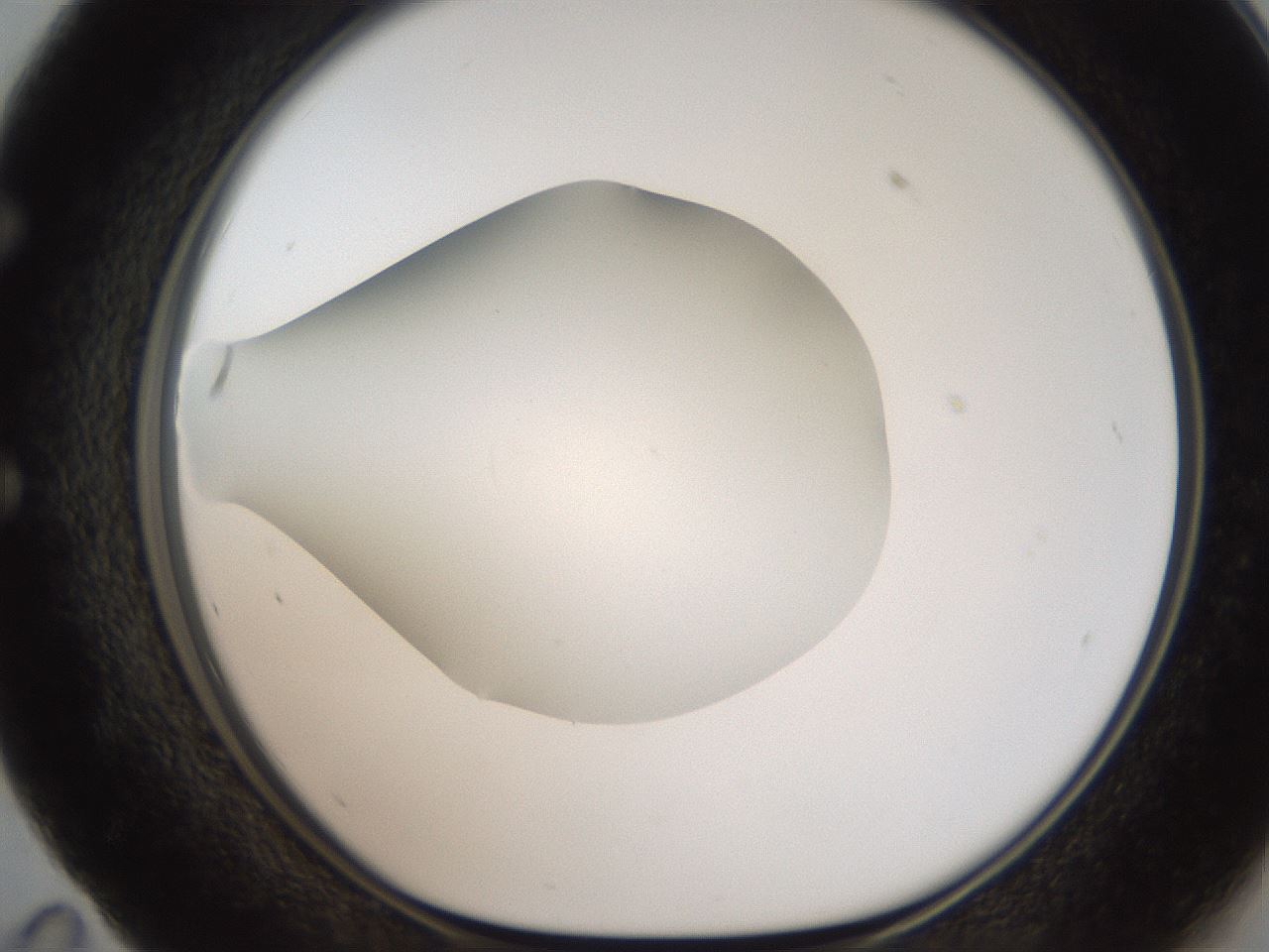 folderID186_plateID2186_batchID9957_wellNum59_profileID1_d1_r148465_ef.jpg