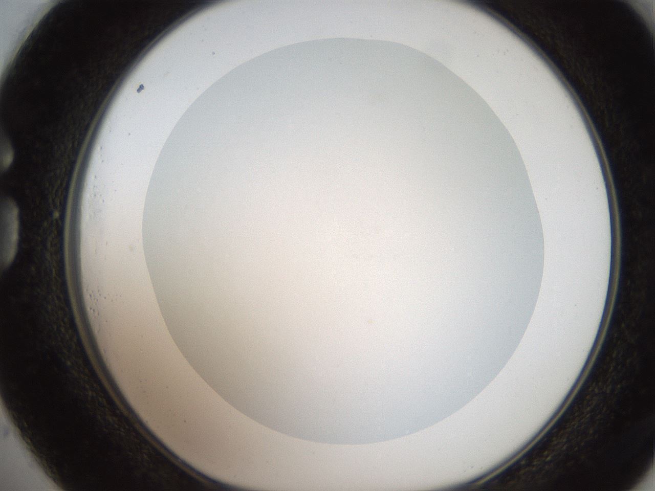 folderID186_plateID2186_batchID9957_wellNum73_profileID1_d1_r148479_ef.jpg