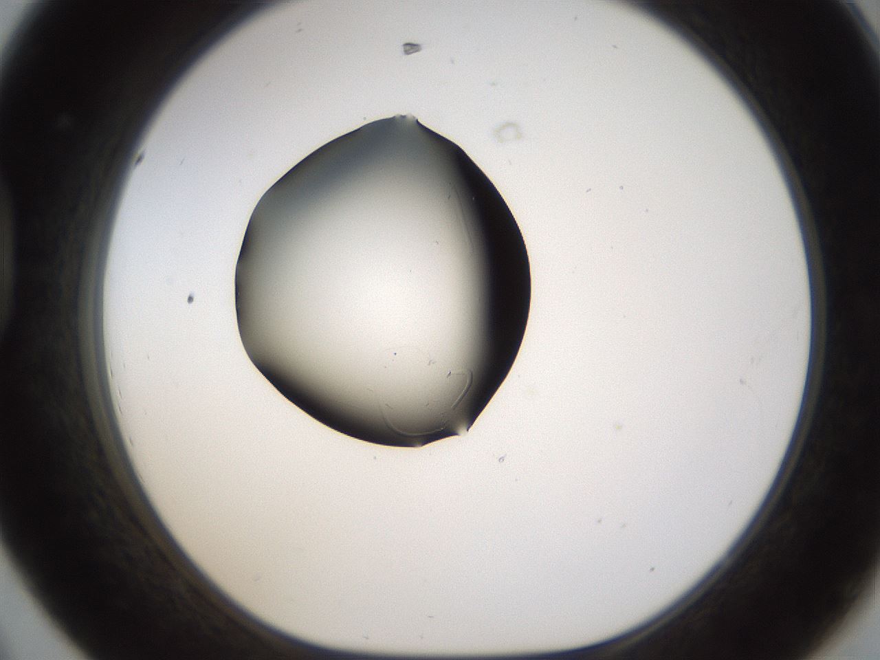 folderID187_plateID1187_batchID3361_wellNum44_profileID1_d1_r65354_ef.jpg