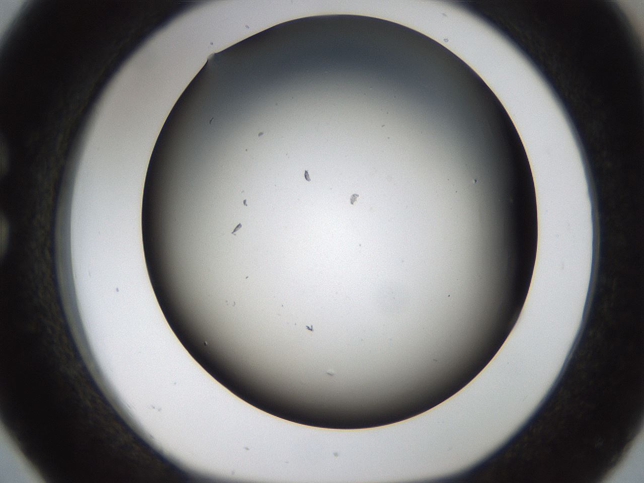 folderID187_plateID1187_batchID3361_wellNum26_profileID1_d1_r65336_ef.jpg