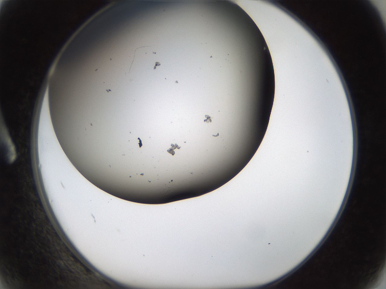 folderID187_plateID1187_batchID3361_wellNum2_profileID1_d1_r65312_ef.jpg