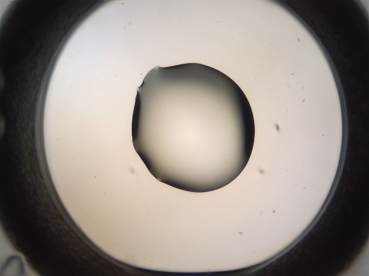 folderID187_plateID1187_batchID3361_wellNum35_profileID1_d1_r65345_ef.jpg