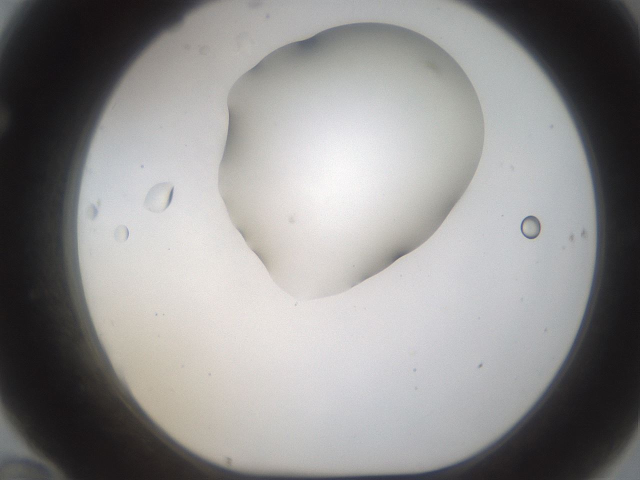 folderID187_plateID1187_batchID3361_wellNum70_profileID1_d1_r65380_ef.jpg