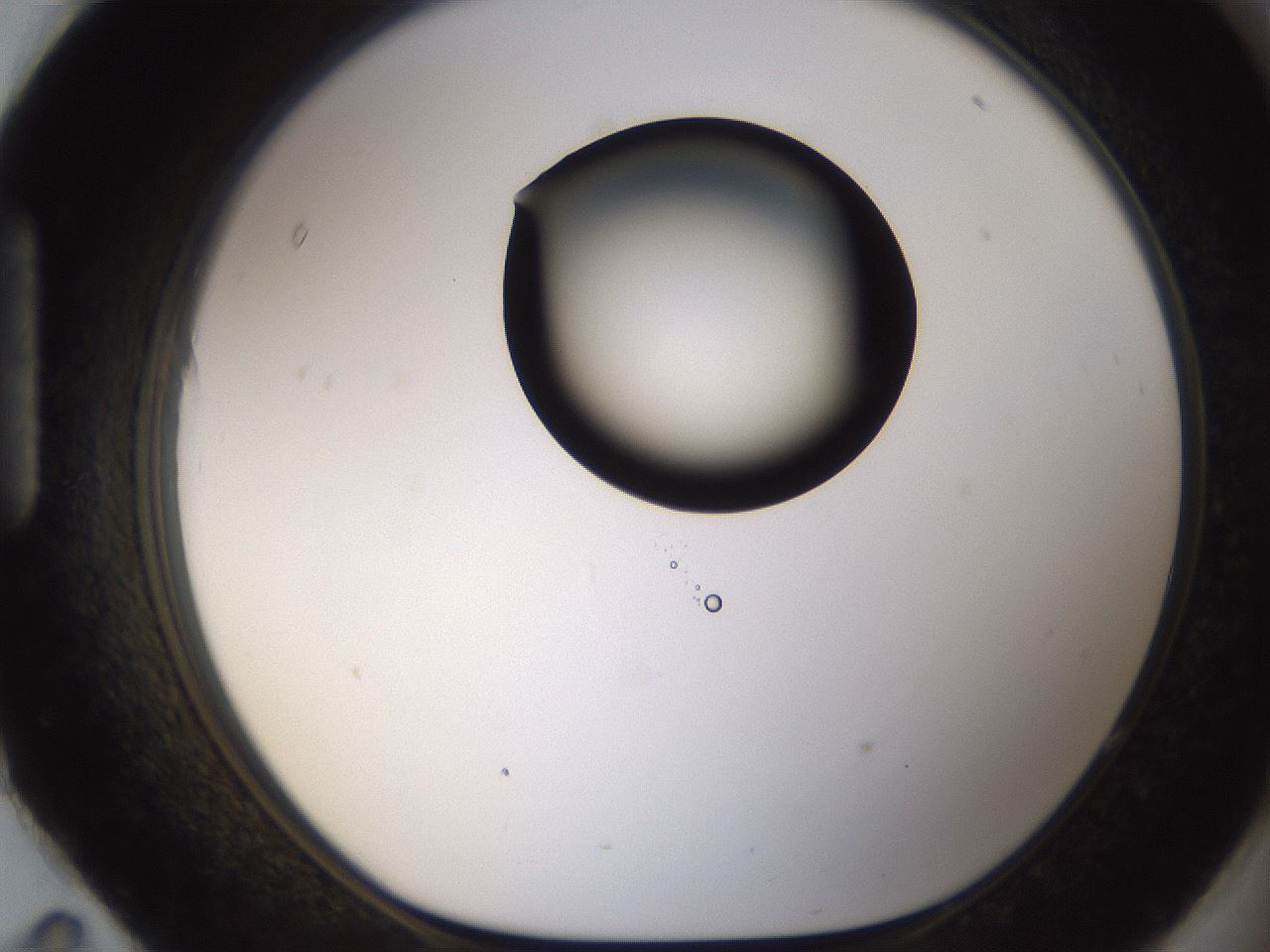 folderID187_plateID1187_batchID3361_wellNum95_profileID1_d1_r65405_ef.jpg