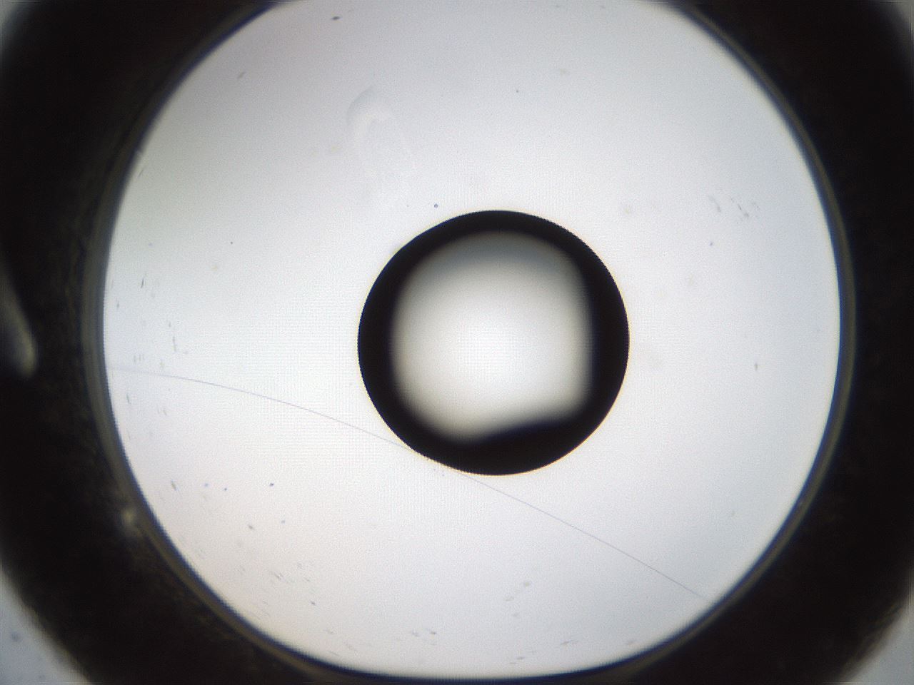 folderID187_plateID1187_batchID3361_wellNum9_profileID1_d1_r65319_ef.jpg