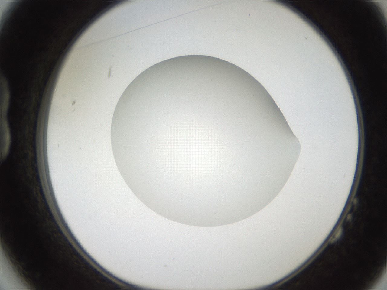 folderID187_plateID2187_batchID9955_wellNum14_profileID1_d1_r148228_ef.jpg