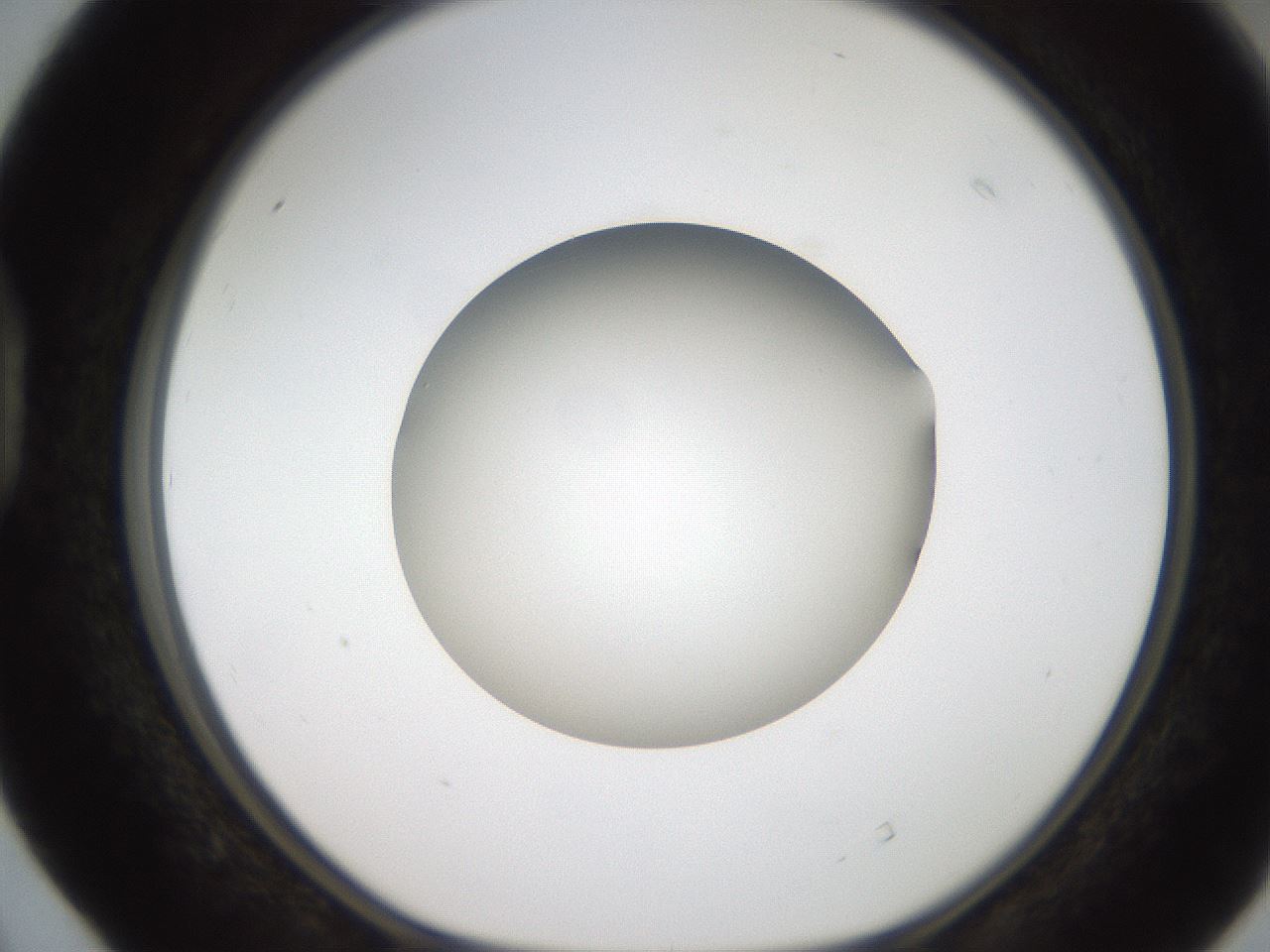 folderID187_plateID2187_batchID9955_wellNum40_profileID1_d1_r148254_ef.jpg