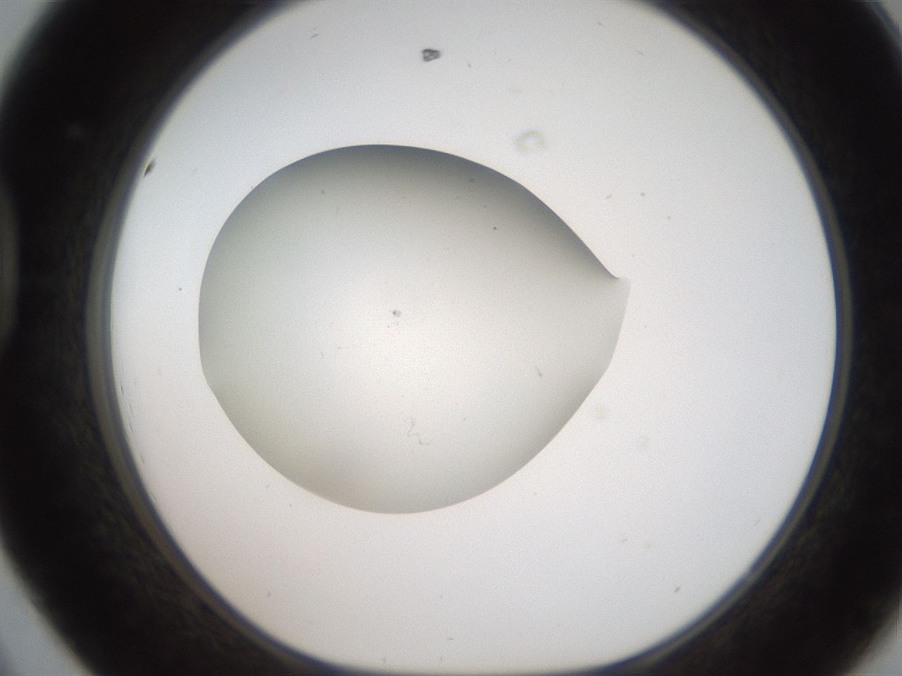 folderID187_plateID2187_batchID9955_wellNum44_profileID1_d1_r148258_ef.jpg