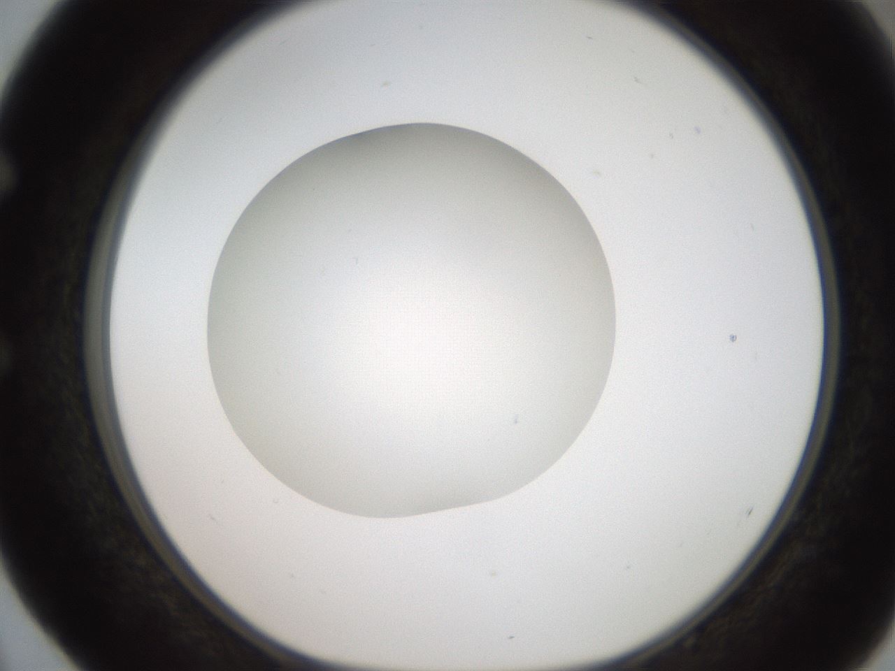folderID187_plateID2187_batchID9955_wellNum52_profileID1_d1_r148266_ef.jpg