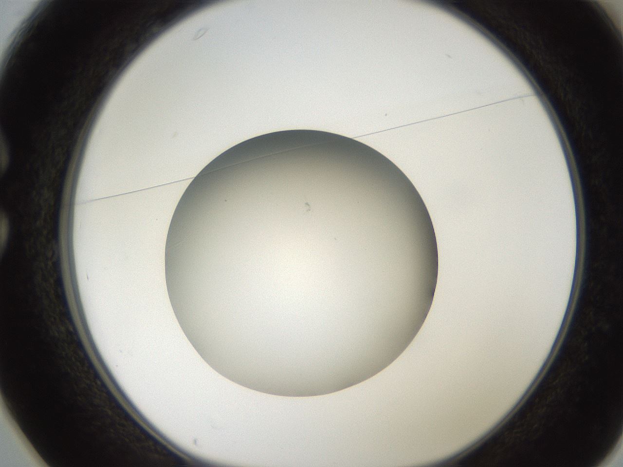 folderID187_plateID2187_batchID9955_wellNum25_profileID1_d1_r148239_ef.jpg