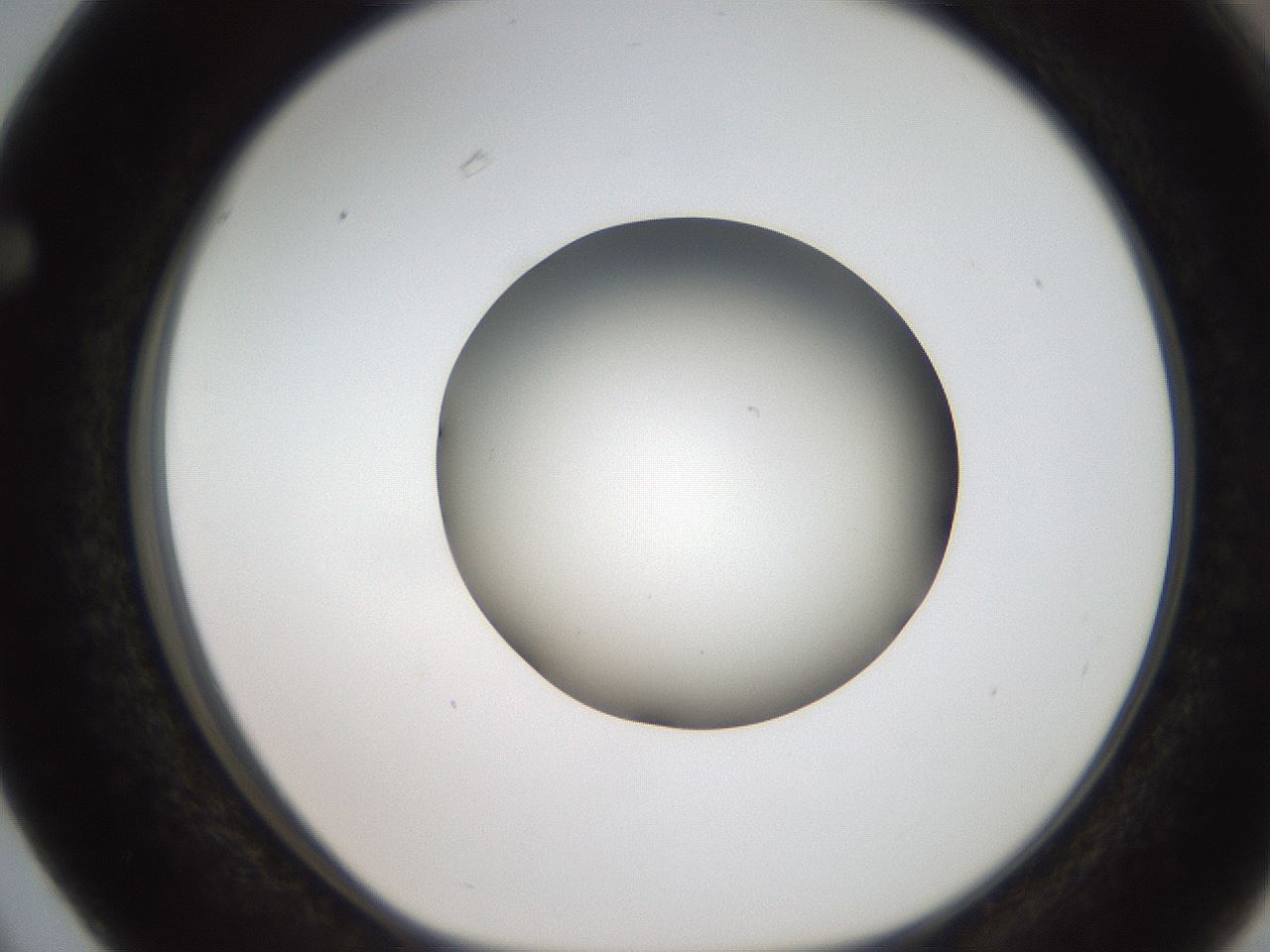 folderID187_plateID2187_batchID9955_wellNum63_profileID1_d1_r148277_ef.jpg