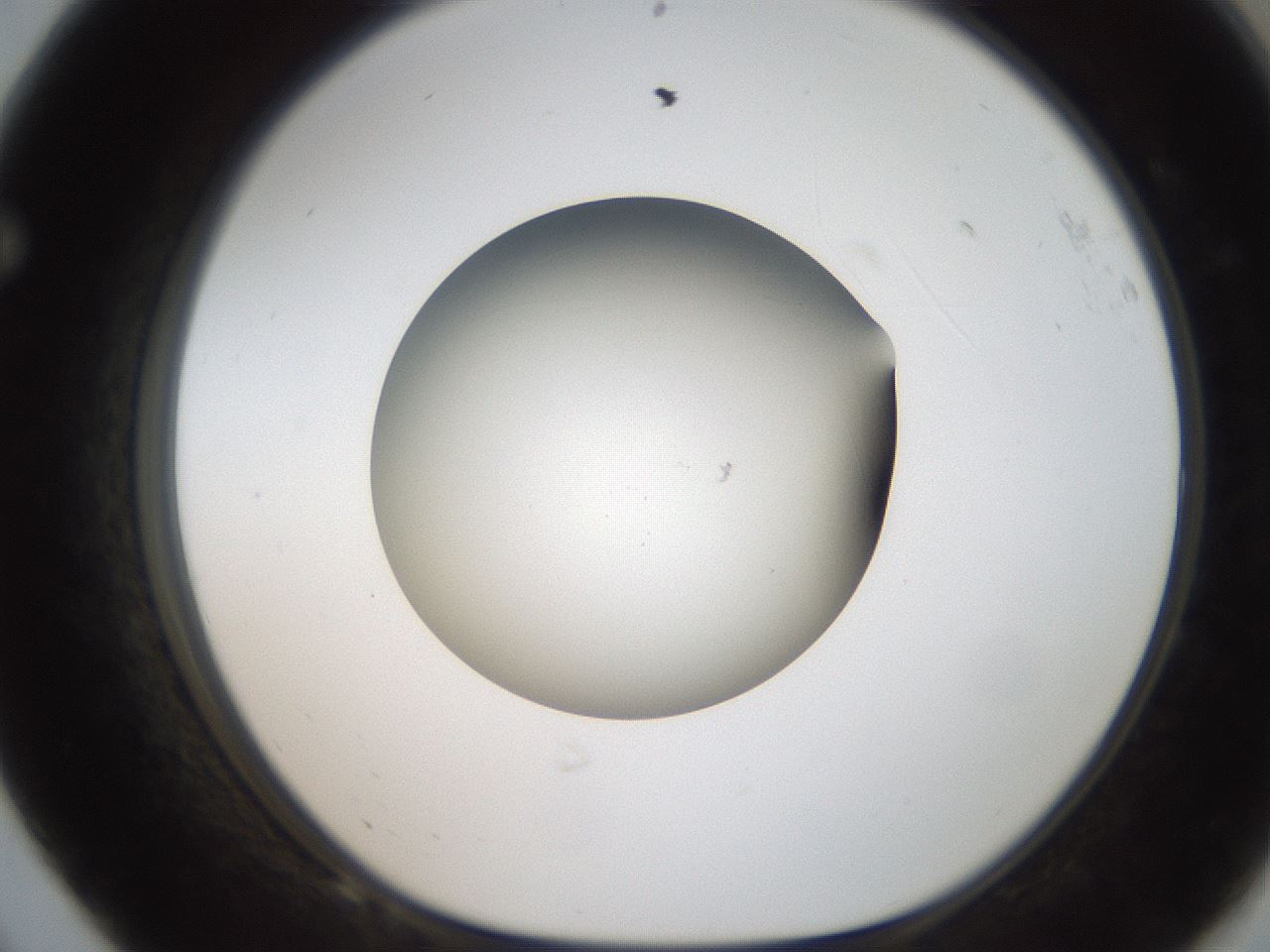 folderID187_plateID2187_batchID9955_wellNum68_profileID1_d1_r148282_ef.jpg