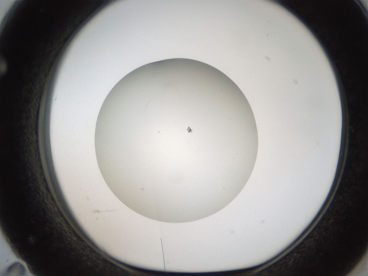 folderID187_plateID2187_batchID9955_wellNum71_profileID1_d1_r148285_ef.jpg