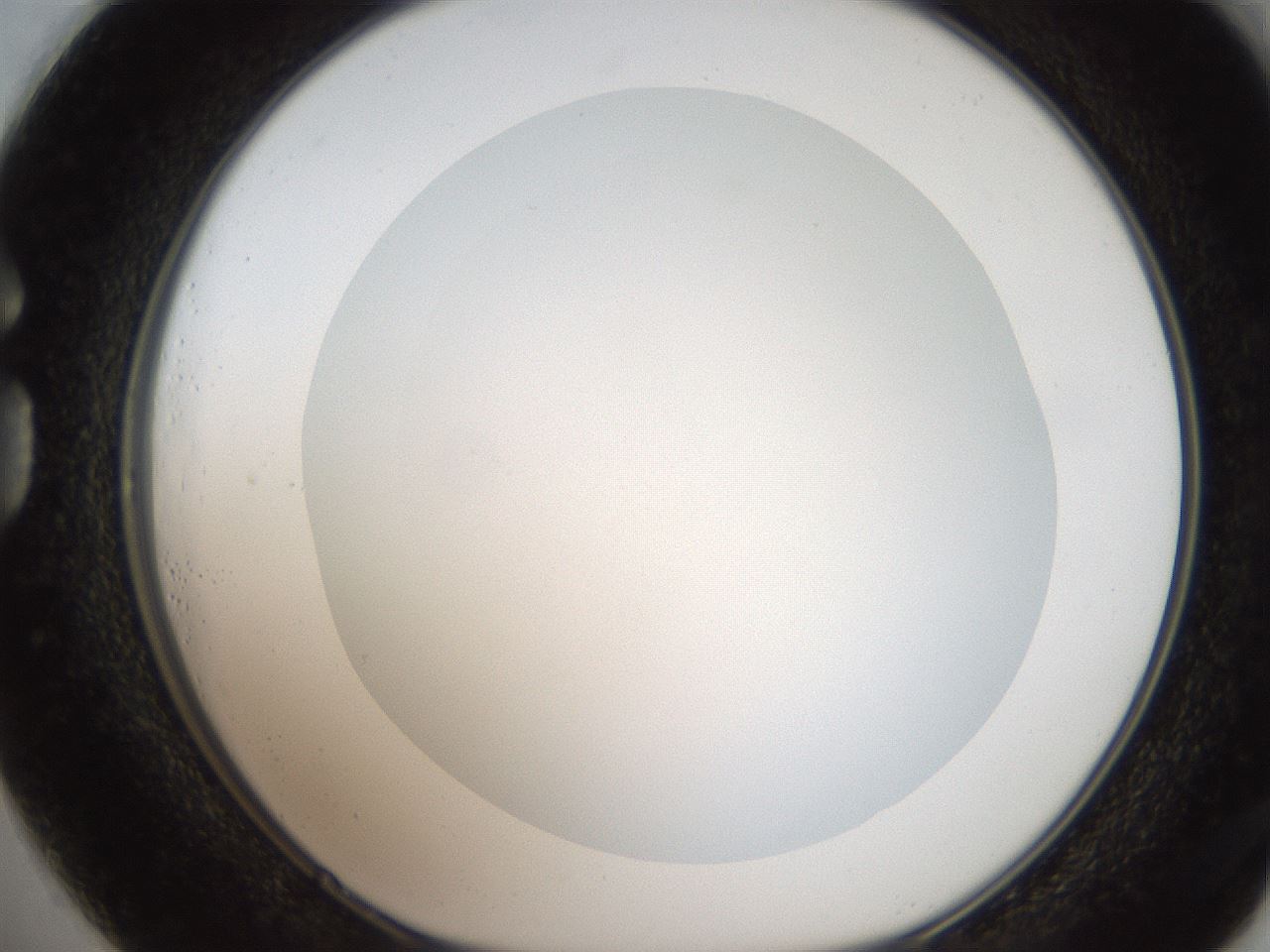 folderID187_plateID2187_batchID9955_wellNum73_profileID1_d1_r148287_ef.jpg