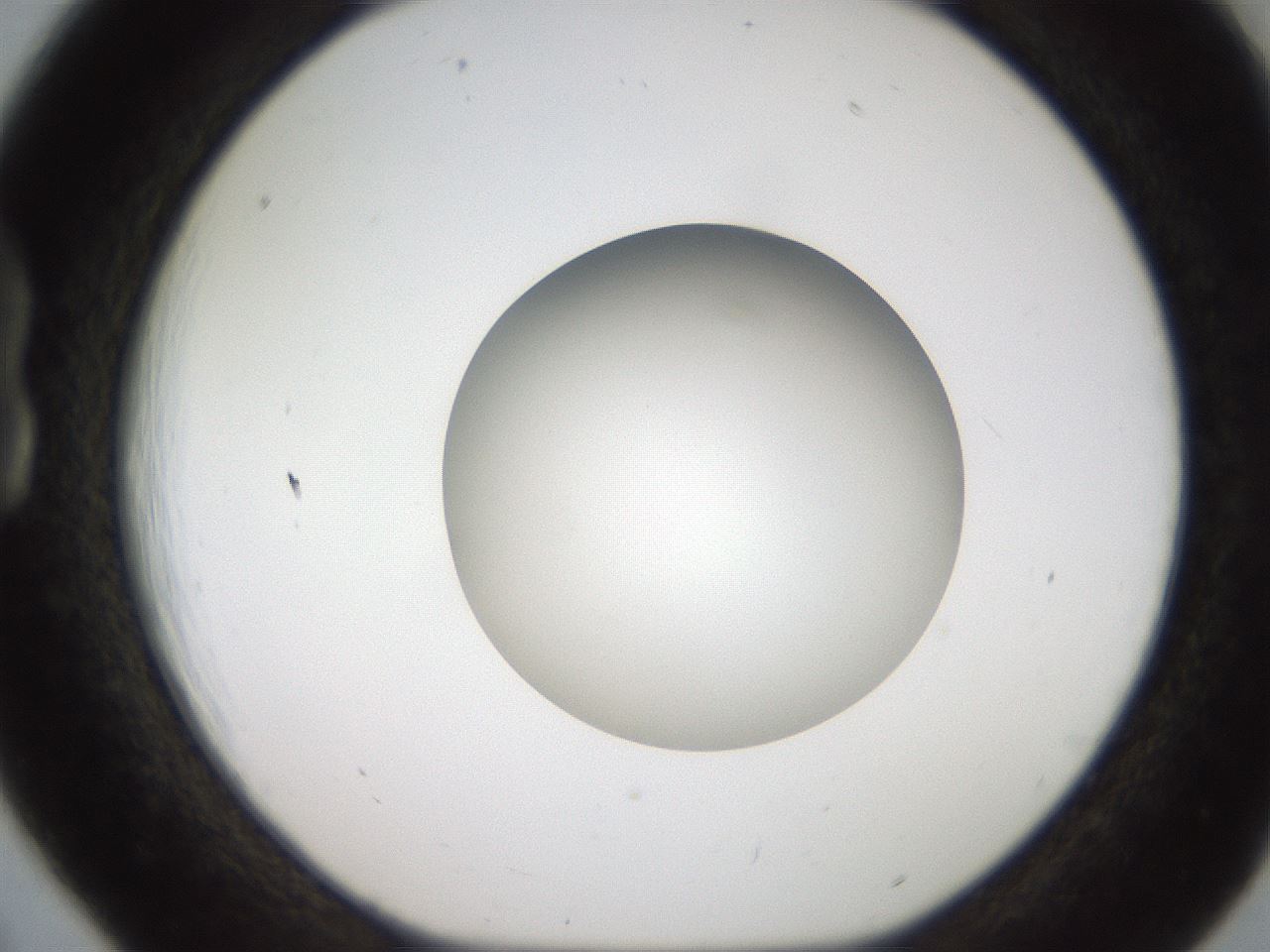 folderID187_plateID2187_batchID9955_wellNum18_profileID1_d1_r148232_ef.jpg