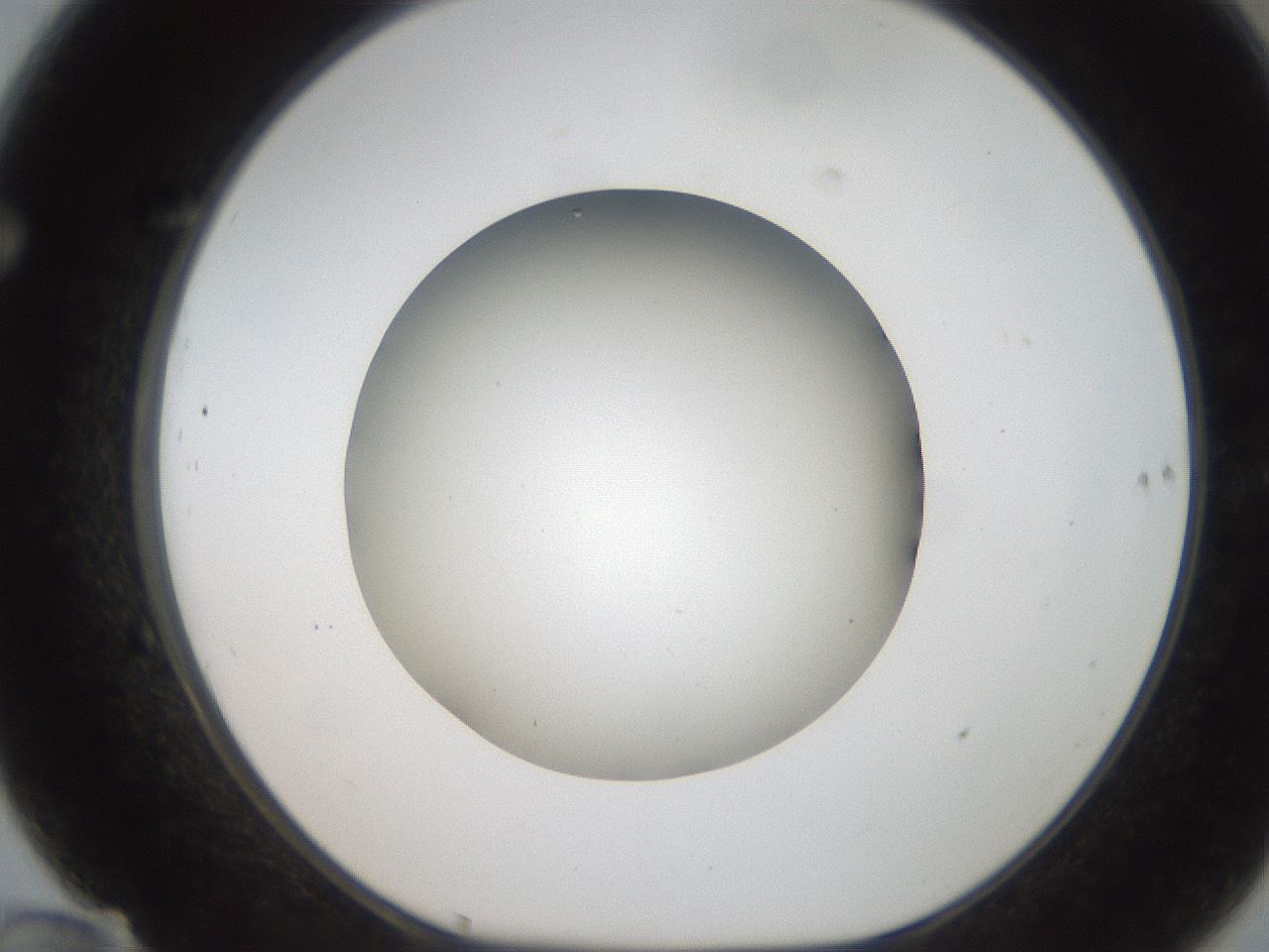folderID187_plateID2187_batchID9955_wellNum70_profileID1_d1_r148284_ef.jpg