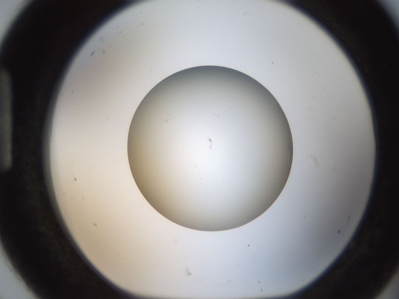 folderID187_plateID2187_batchID9955_wellNum92_profileID1_d1_r148306_ef.jpg