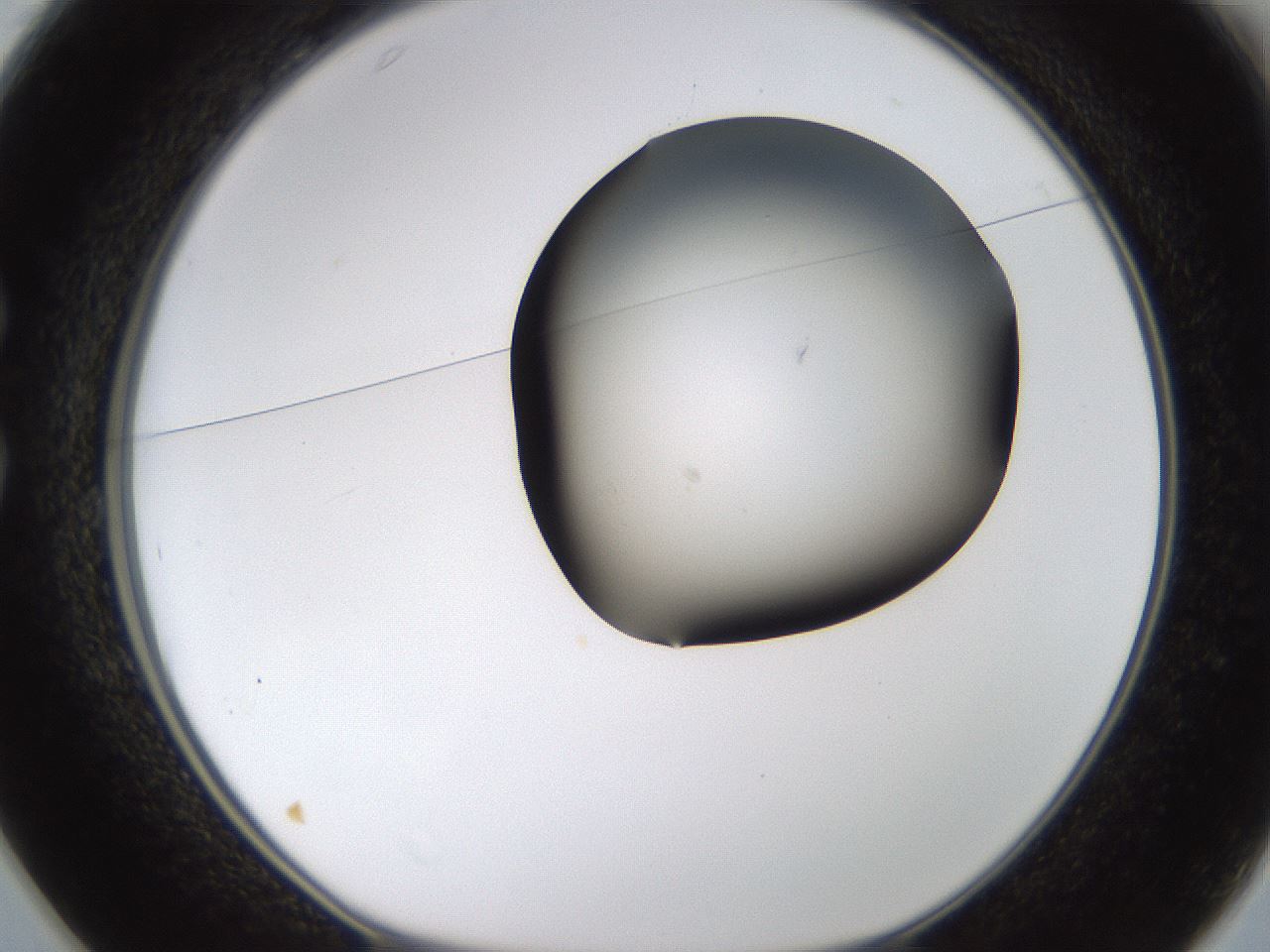 folderID188_plateID1188_batchID3357_wellNum25_profileID1_d1_r65047_ef.jpg