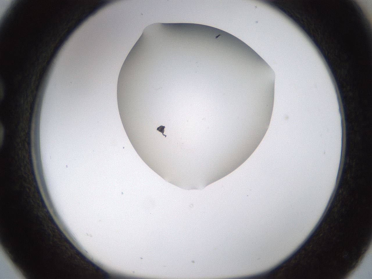 folderID188_plateID1188_batchID3357_wellNum26_profileID1_d1_r65048_ef.jpg