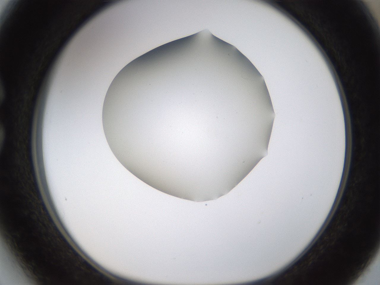 folderID188_plateID1188_batchID3357_wellNum27_profileID1_d1_r65049_ef.jpg