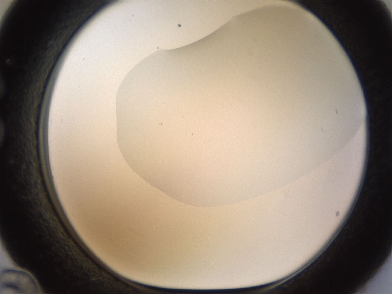 folderID188_plateID1188_batchID3357_wellNum36_profileID1_d1_r65058_ef.jpg