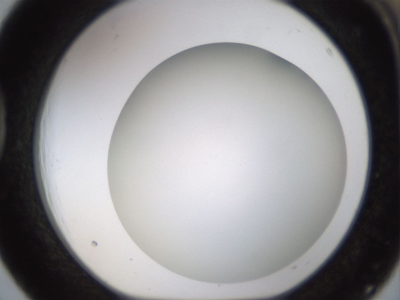 folderID188_plateID1188_batchID3357_wellNum39_profileID1_d1_r65061_ef.jpg