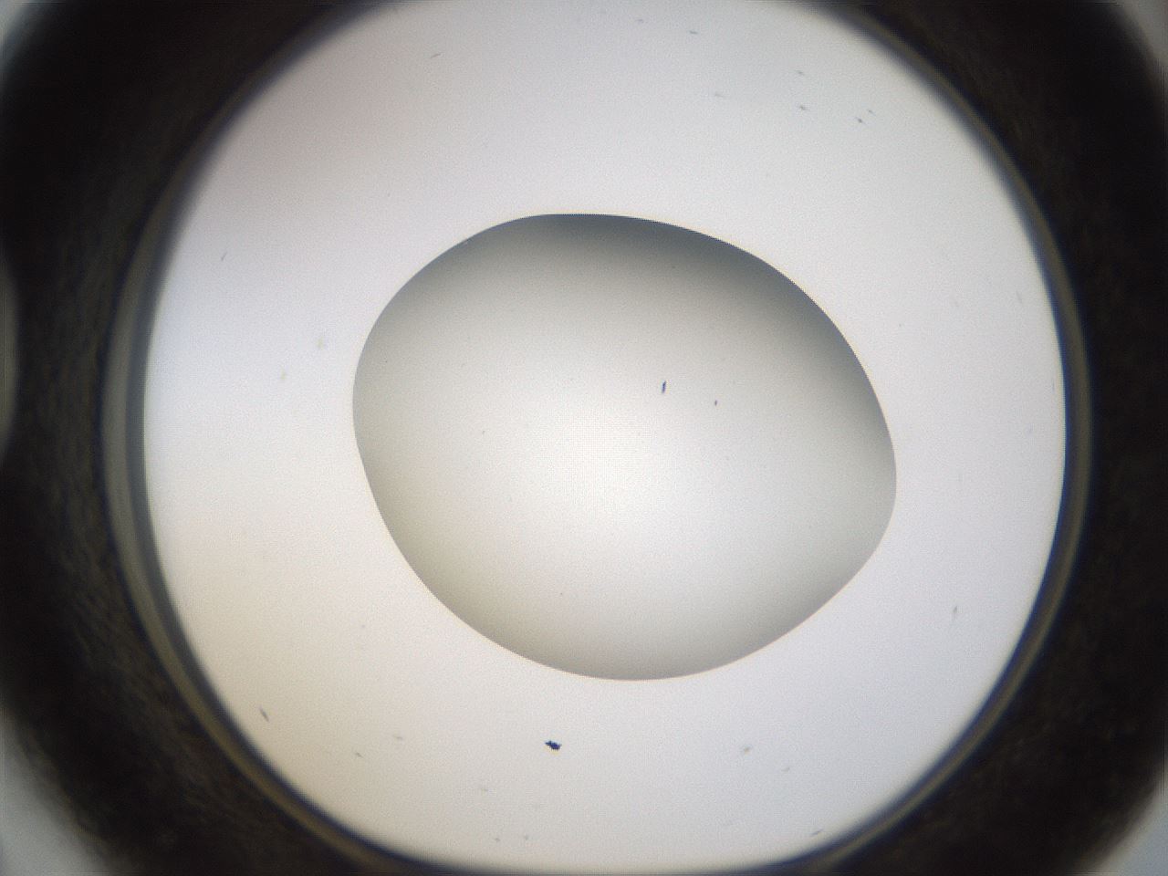folderID188_plateID1188_batchID3357_wellNum41_profileID1_d1_r65063_ef.jpg