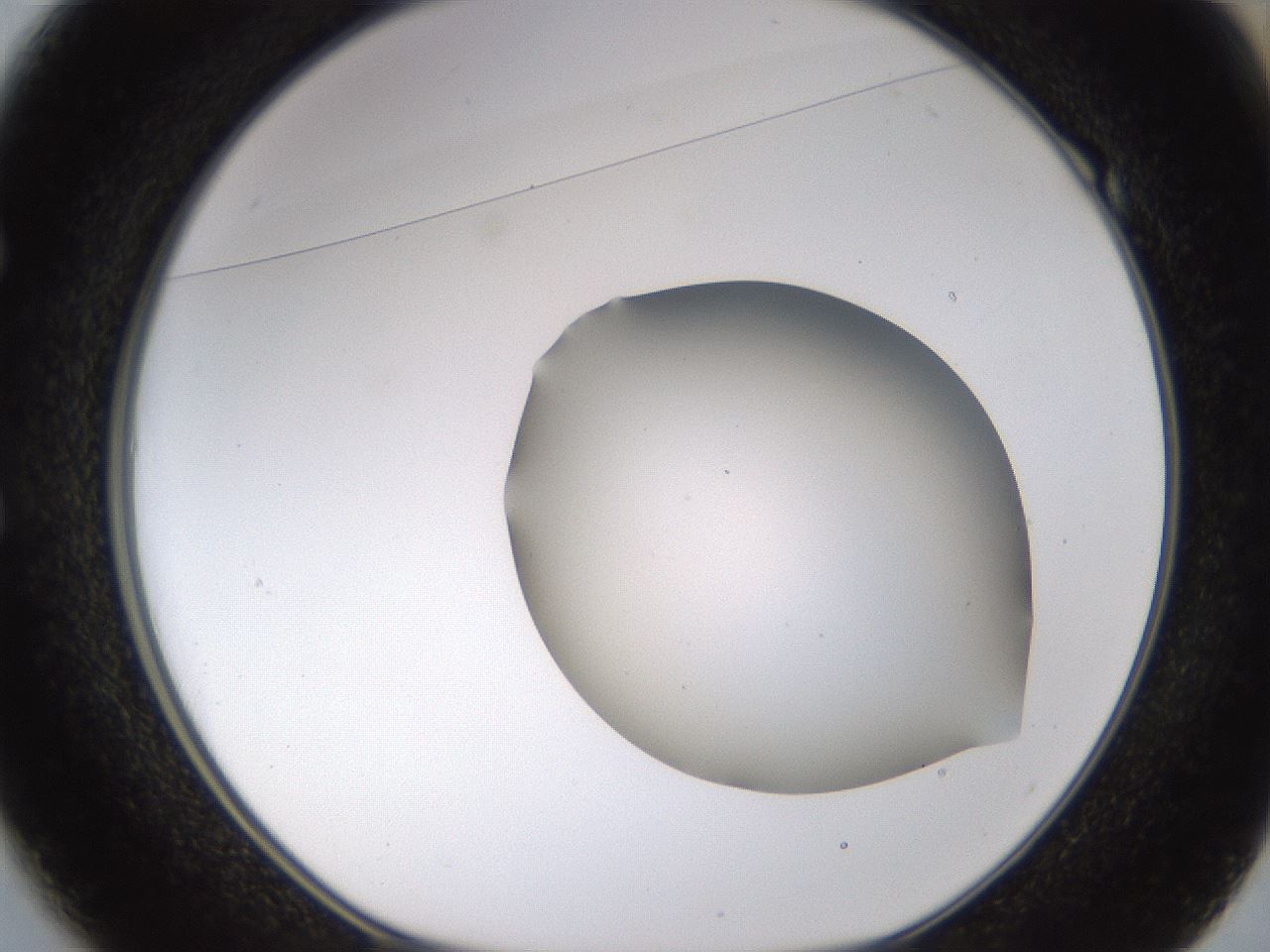 folderID188_plateID1188_batchID3357_wellNum49_profileID1_d1_r65071_ef.jpg