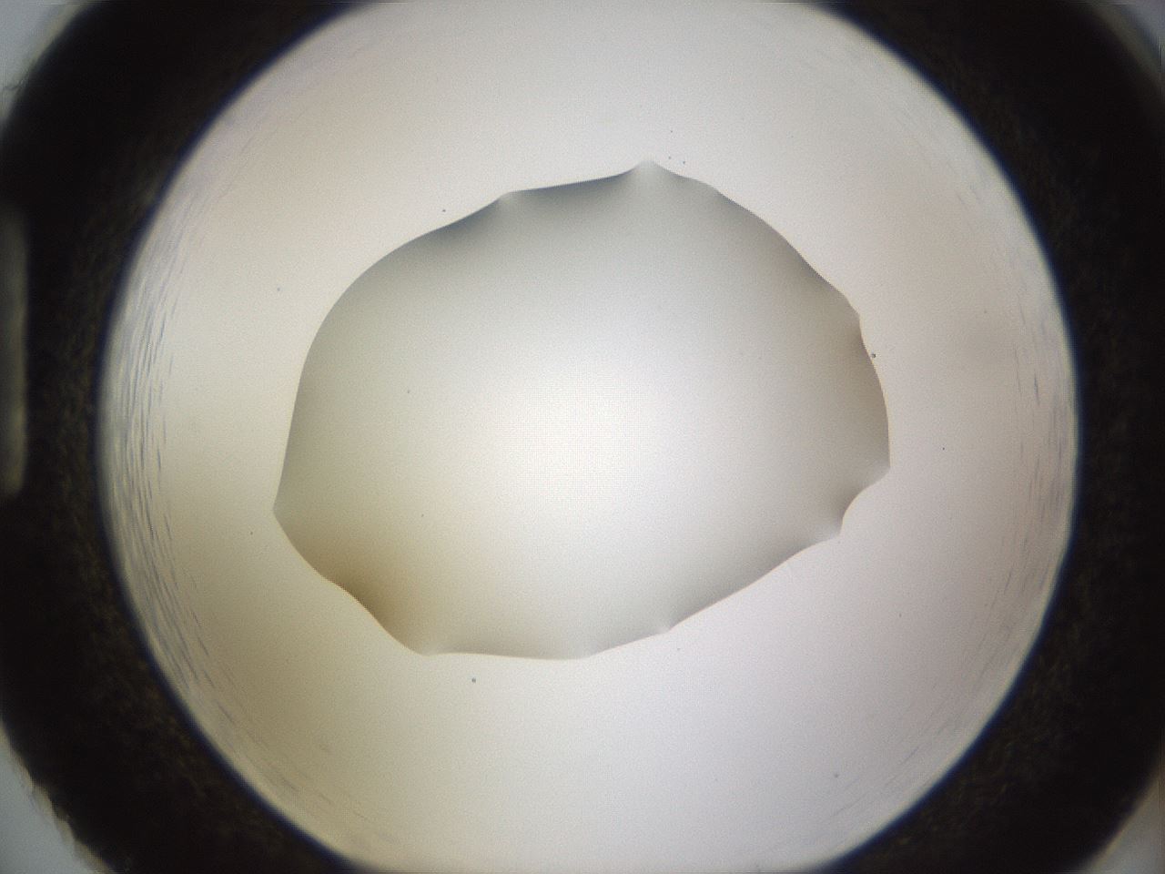 folderID188_plateID1188_batchID3357_wellNum86_profileID1_d1_r65108_ef.jpg