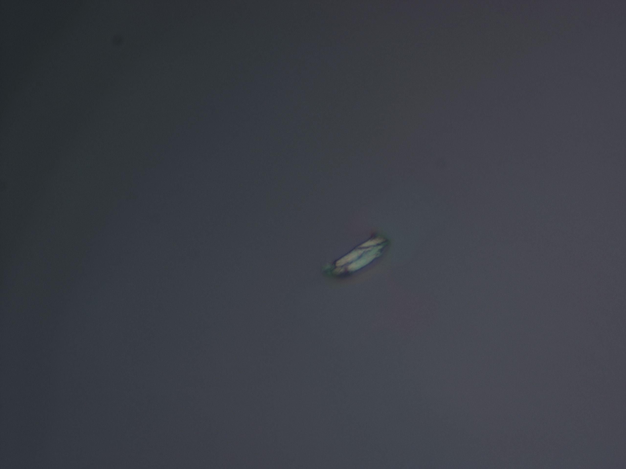02ni_F1_HighResolution_6.jpg