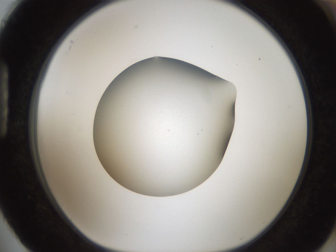 folderID188_plateID2188_batchID9953_wellNum88_profileID1_d1_r148110_ef.jpg