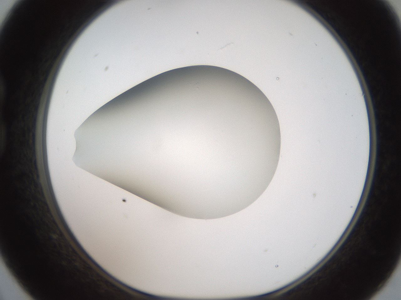 folderID188_plateID2188_batchID9953_wellNum21_profileID1_d1_r148043_ef.jpg