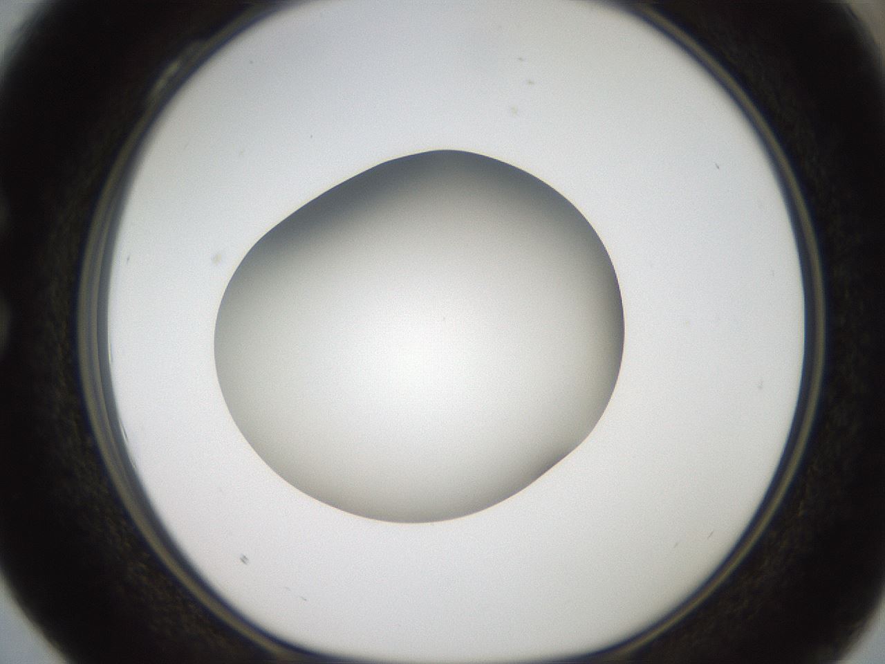folderID188_plateID2188_batchID9953_wellNum28_profileID1_d1_r148050_ef.jpg