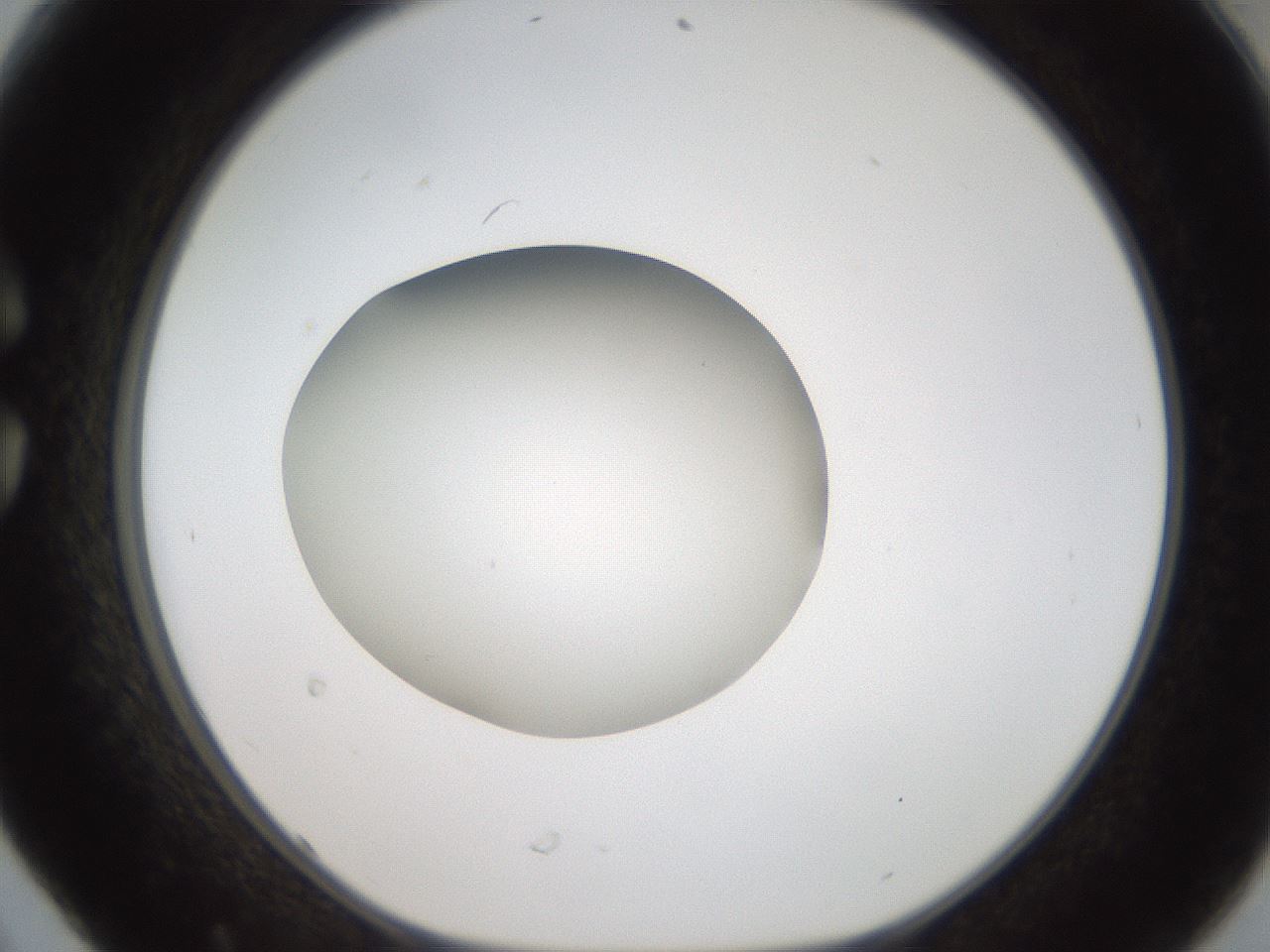 folderID188_plateID2188_batchID9953_wellNum30_profileID1_d1_r148052_ef.jpg