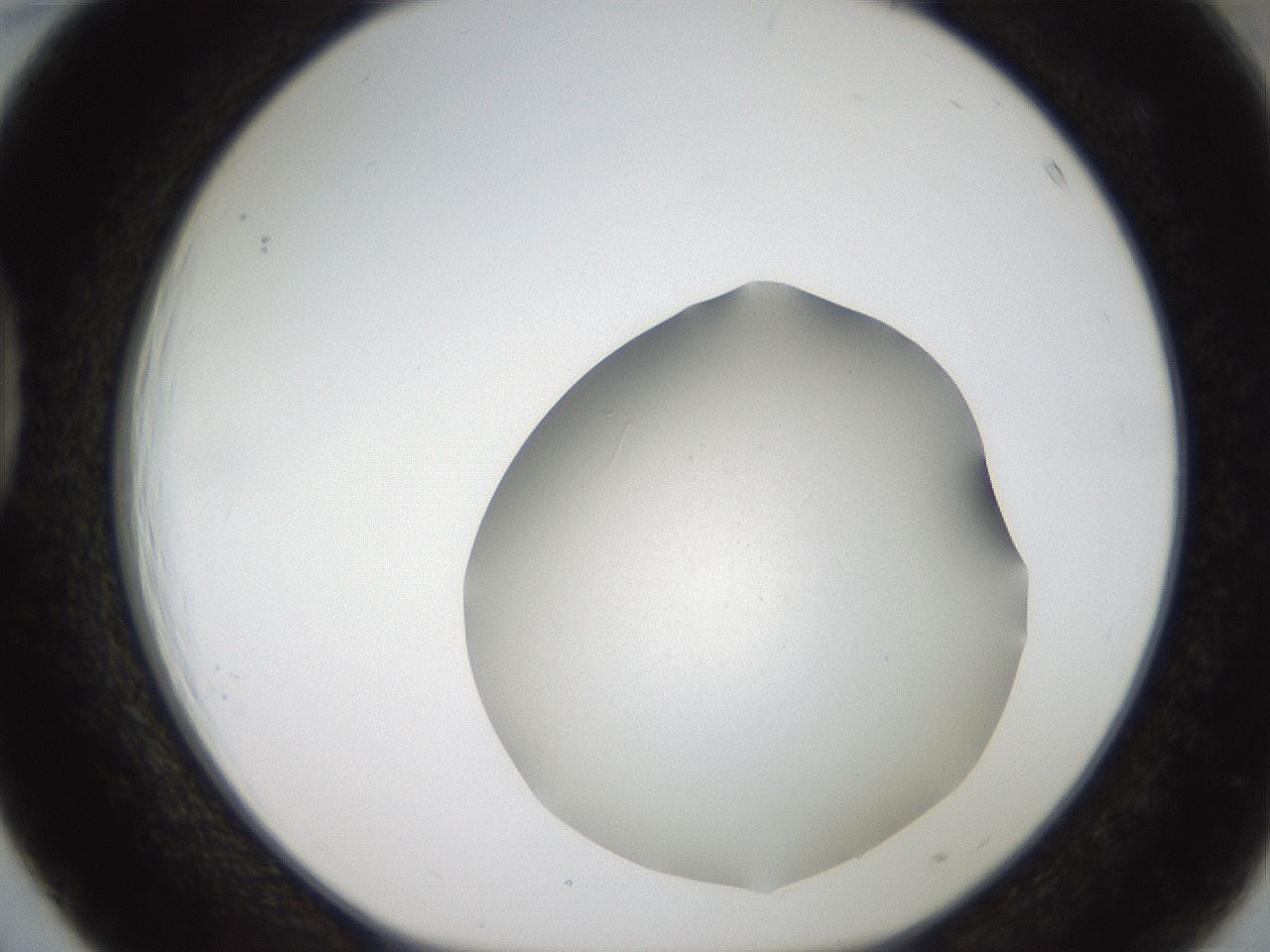 folderID188_plateID2188_batchID9953_wellNum39_profileID1_d1_r148061_ef.jpg