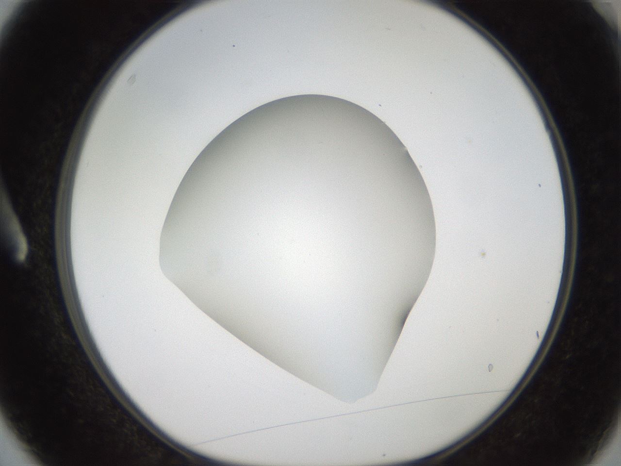 folderID188_plateID2188_batchID9953_wellNum3_profileID1_d1_r148025_ef.jpg