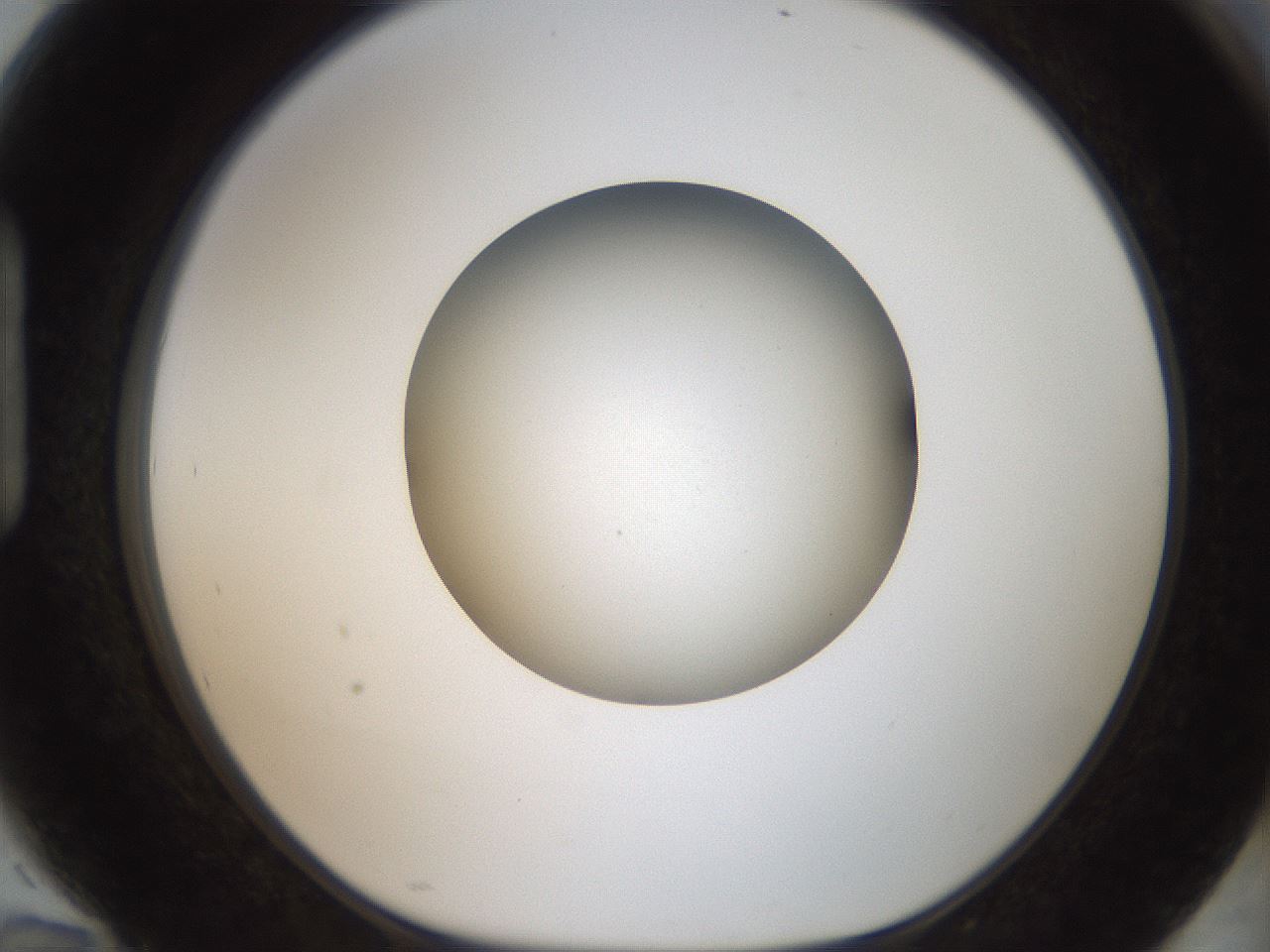 folderID188_plateID2188_batchID9953_wellNum94_profileID1_d1_r148116_ef.jpg