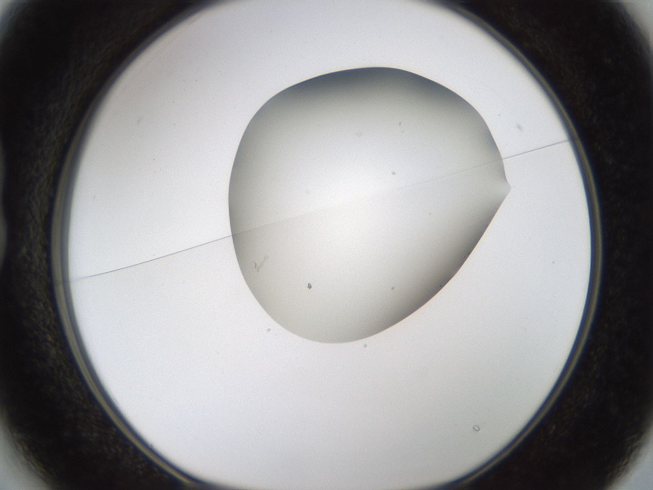 folderID189_plateID1189_batchID3369_wellNum13_profileID1_d1_r65899_ef.jpg