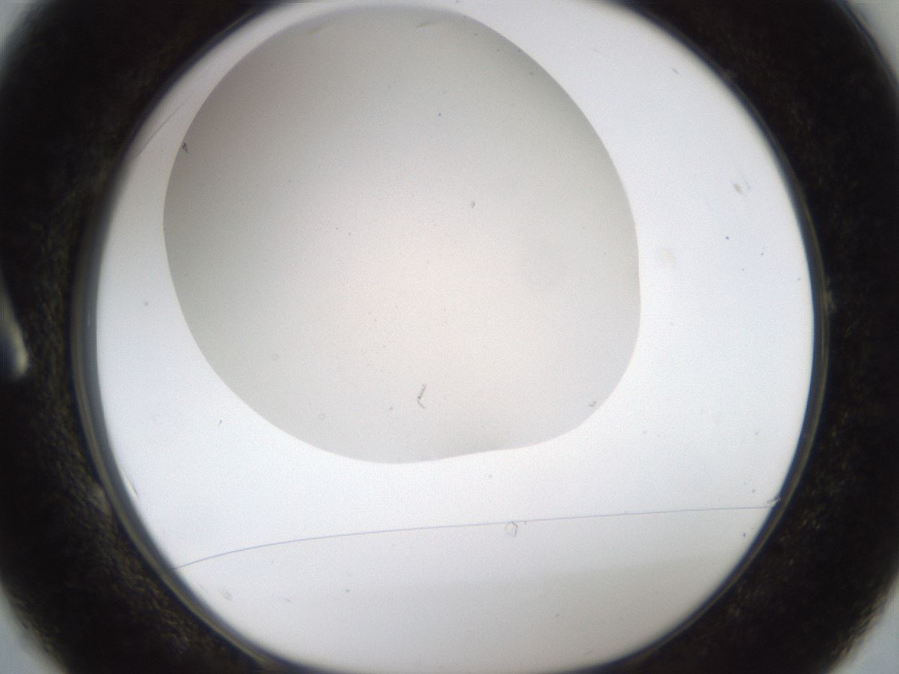 folderID189_plateID1189_batchID3369_wellNum1_profileID1_d1_r65887_ef.jpg