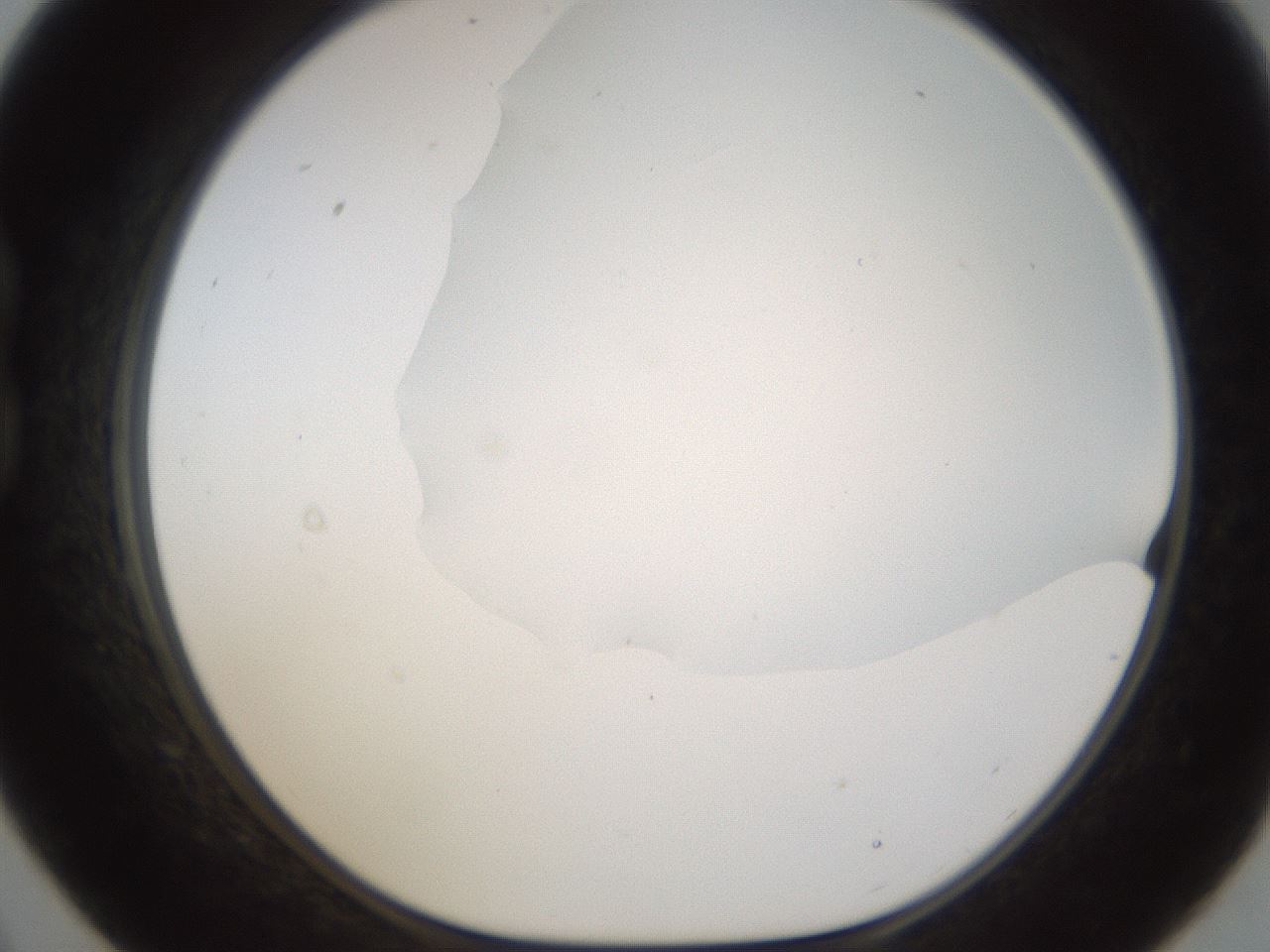 folderID189_plateID1189_batchID3369_wellNum21_profileID1_d1_r65907_ef.jpg