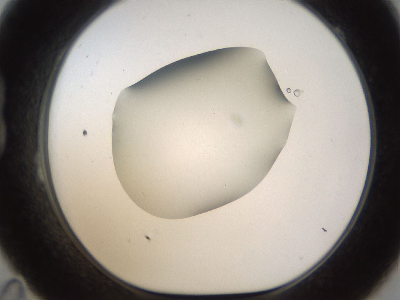 folderID189_plateID1189_batchID3369_wellNum23_profileID1_d1_r65909_ef.jpg