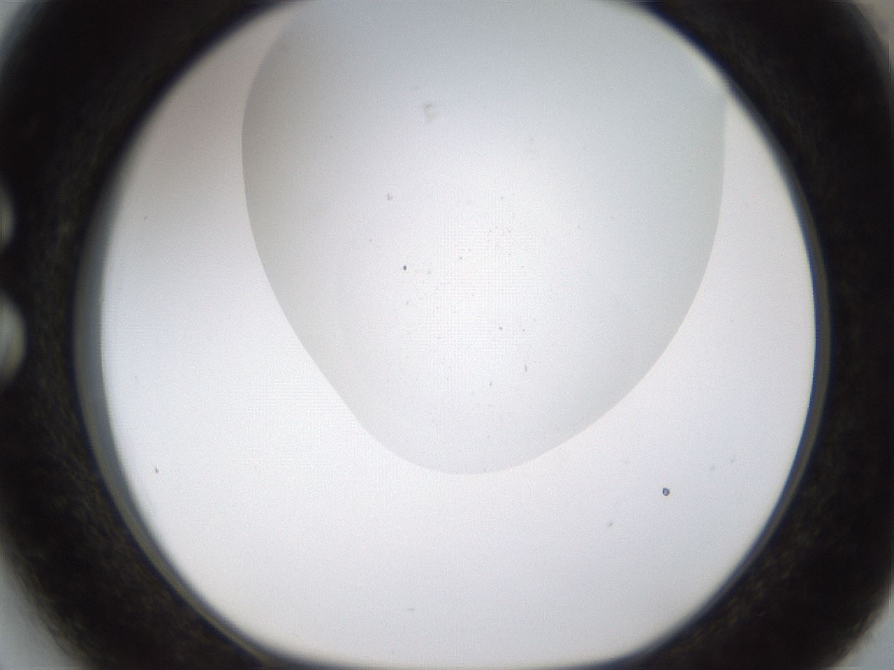 folderID189_plateID1189_batchID3369_wellNum27_profileID1_d1_r65913_ef.jpg