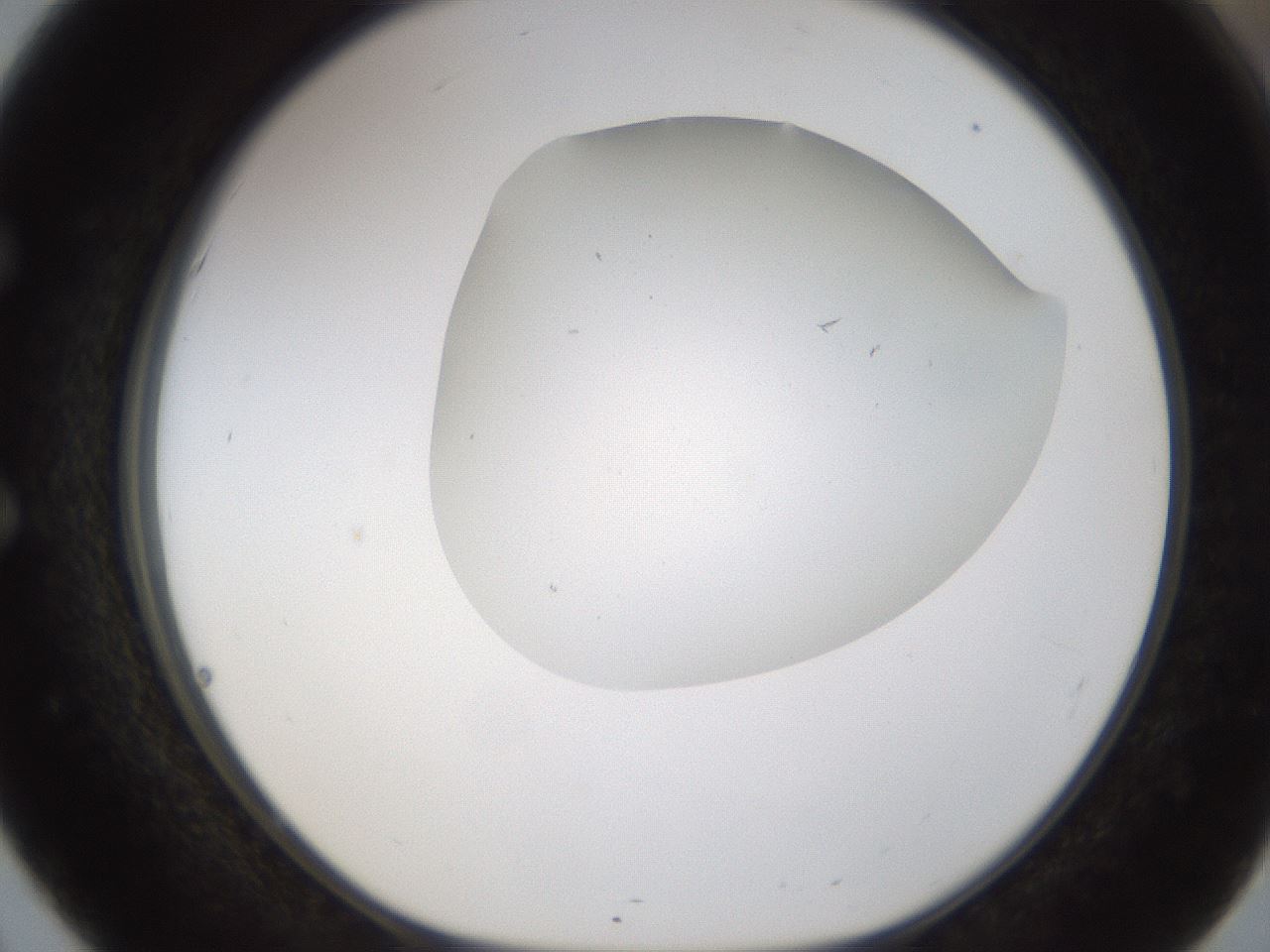 folderID189_plateID1189_batchID3369_wellNum51_profileID1_d1_r65937_ef.jpg