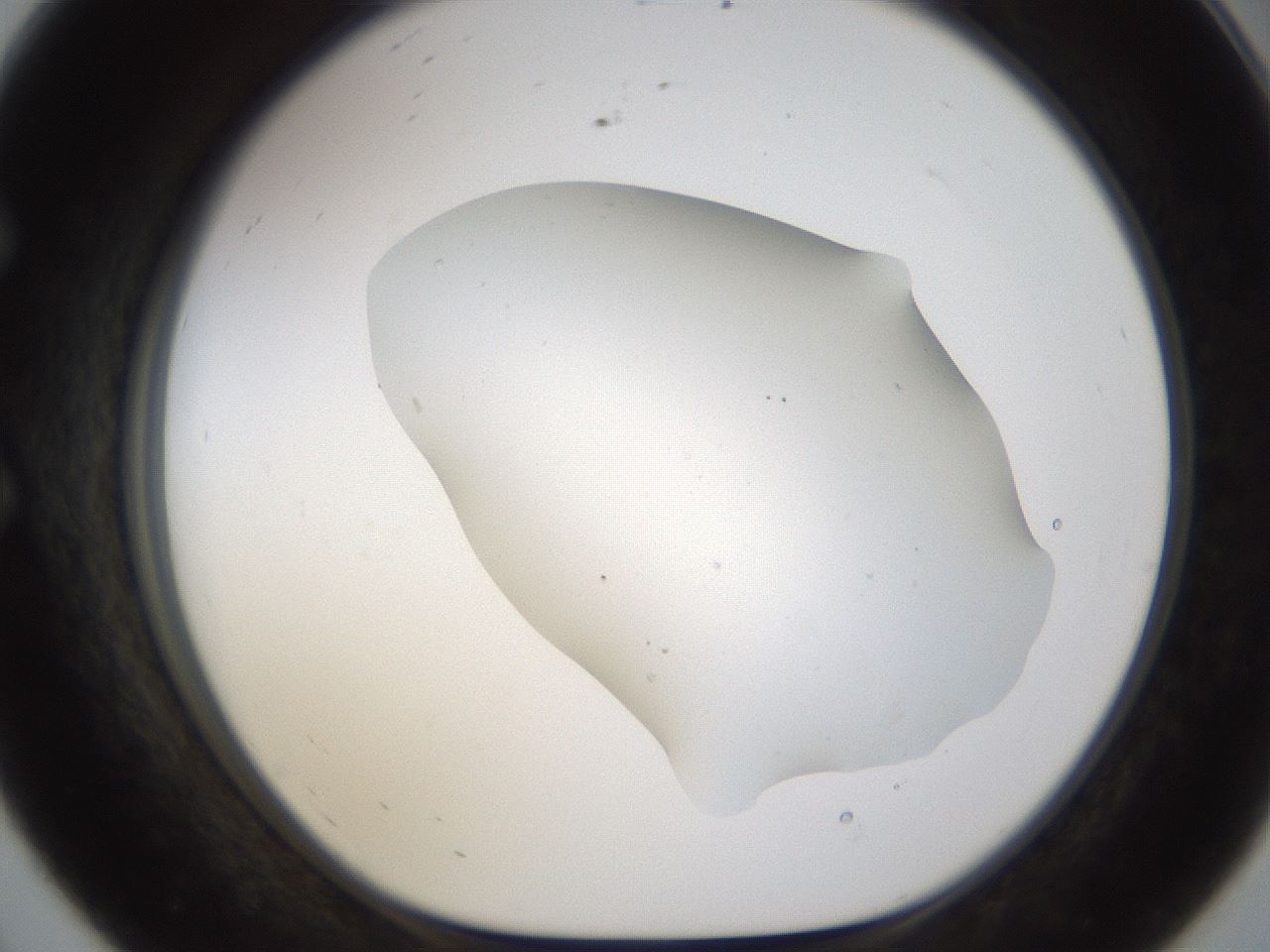 folderID189_plateID1189_batchID3369_wellNum56_profileID1_d1_r65942_ef.jpg