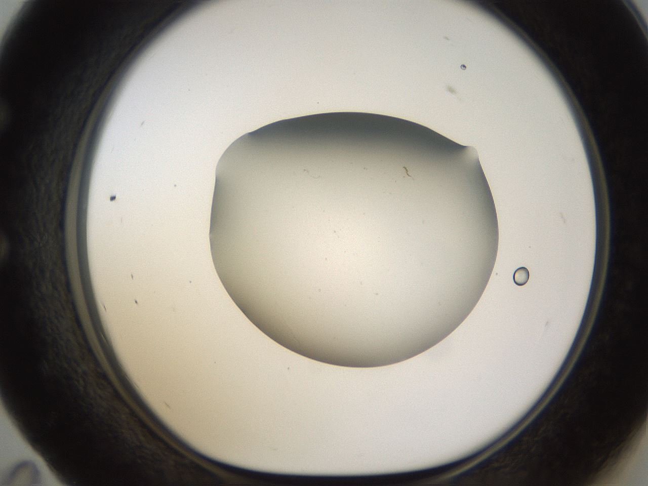 folderID189_plateID1189_batchID3369_wellNum59_profileID1_d1_r65945_ef.jpg