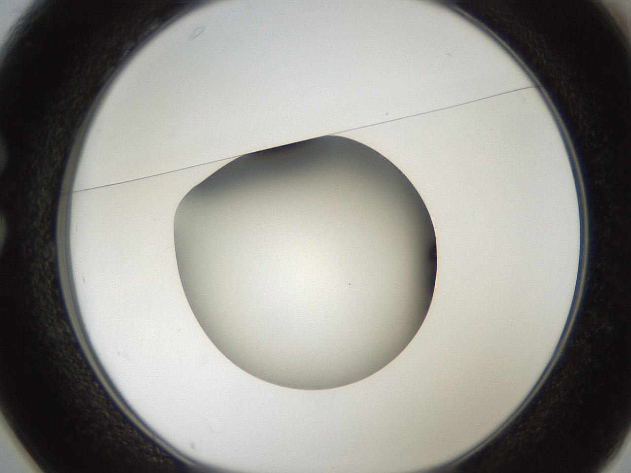 folderID188_plateID2188_batchID9953_wellNum25_profileID1_d1_r148047_ef.jpg