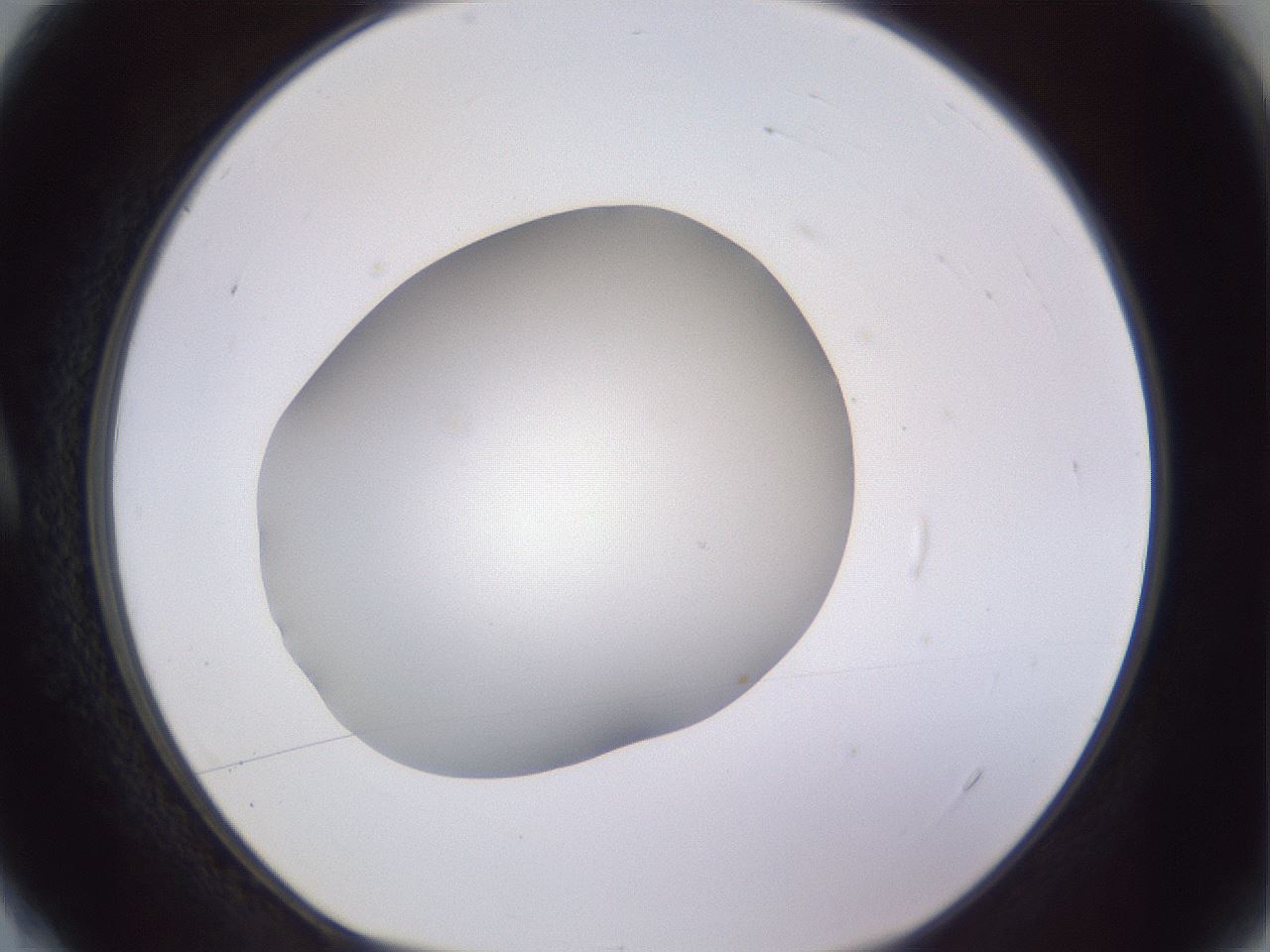 folderID189_plateID2189_batchID9952_wellNum4_profileID1_d1_r147930_ef.jpg
