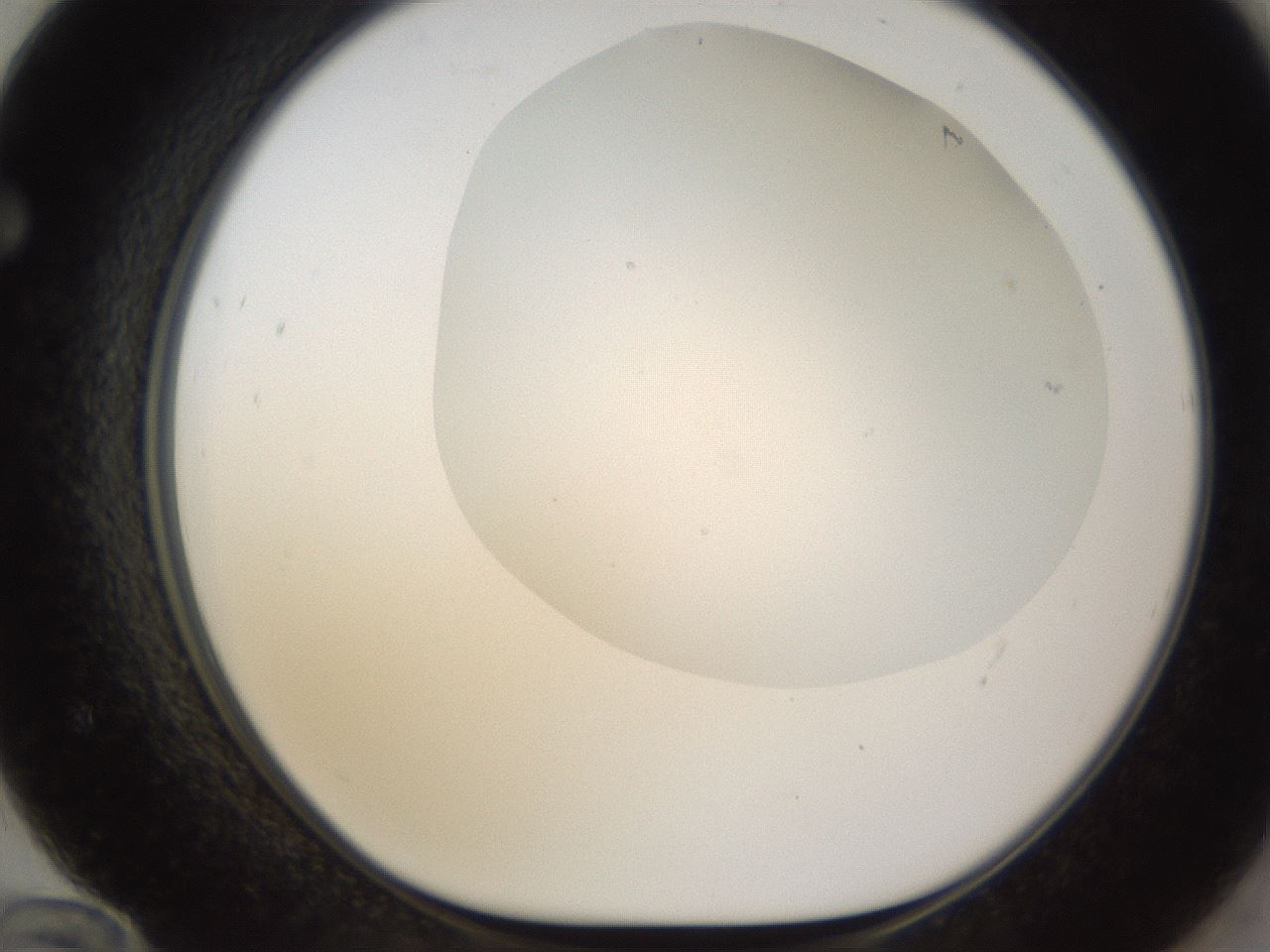 folderID189_plateID1189_batchID3369_wellNum72_profileID1_d1_r65958_ef.jpg